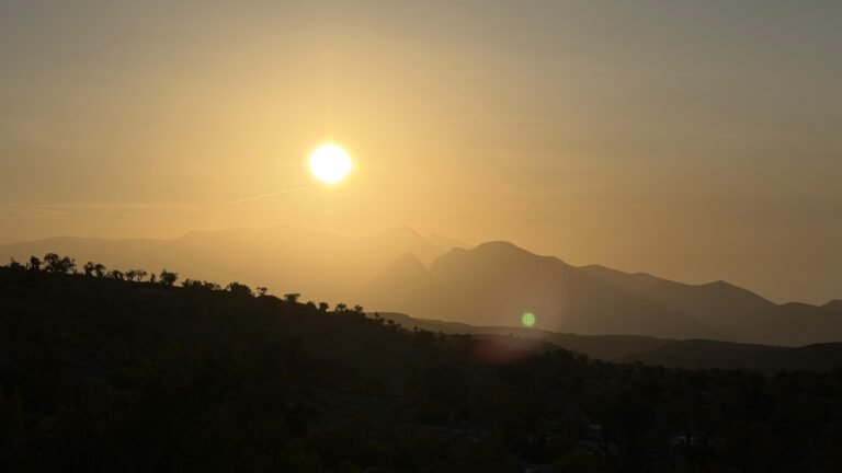 WhatsApp Image 2026-01-31 at 4.28